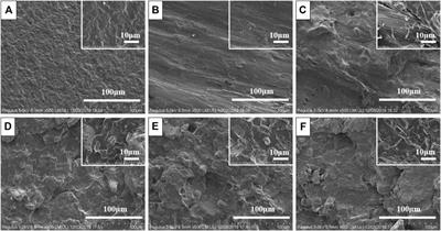 Effect of Bamboo Flour on Flame Retardancy and Smoke Suppression of Polypropylene/Ammonium Polyphosphate Composites